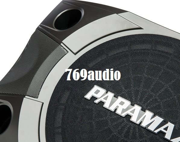 paramax_p_850